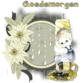 w35morgen.png