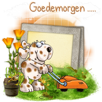 E41morgen.png