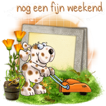 E41weekend.png