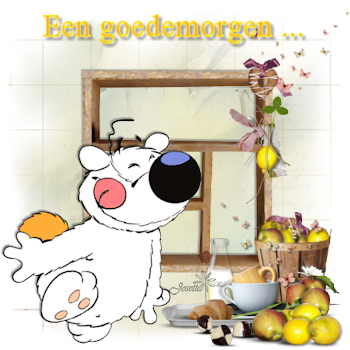 E50morgen.png