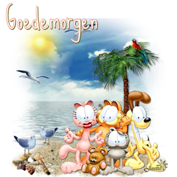 E92morgen.png