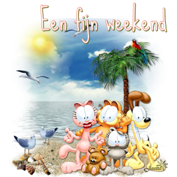E92weekend.png