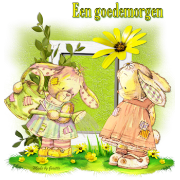 d38morgen.png