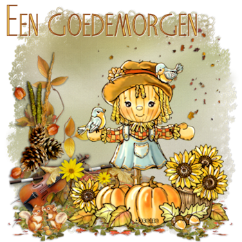 sept27morgen.png