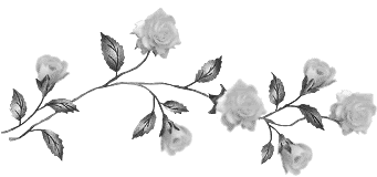gray Pictures, Images and Photos