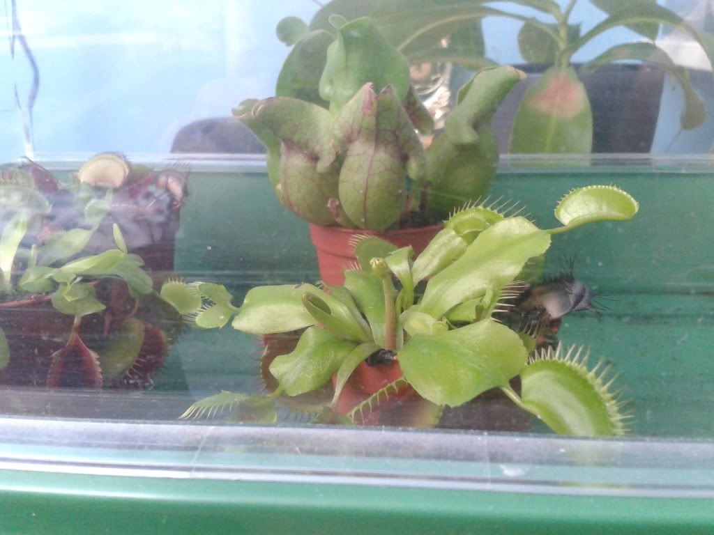 2012-06-03143926.jpg