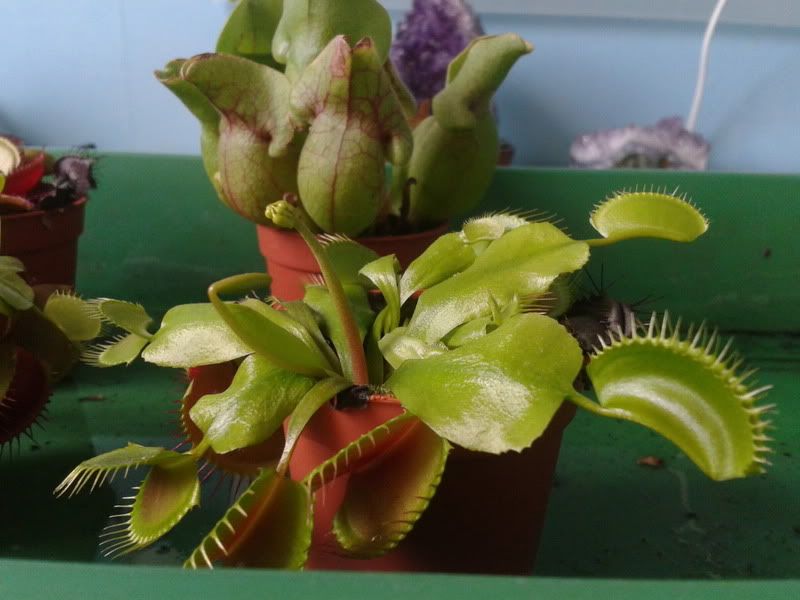 2012-06-05154454.jpg