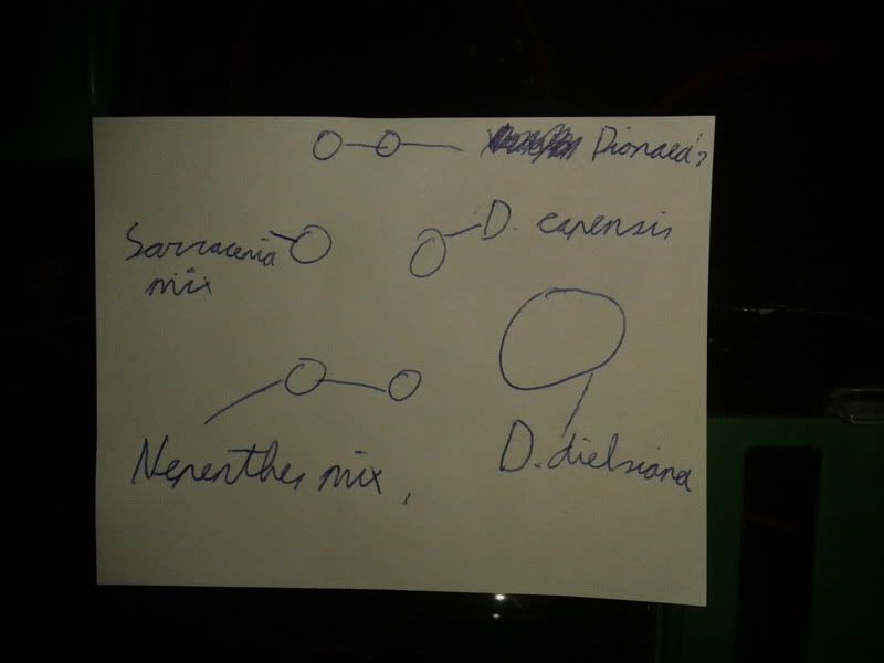 2012-06-11233955.jpg