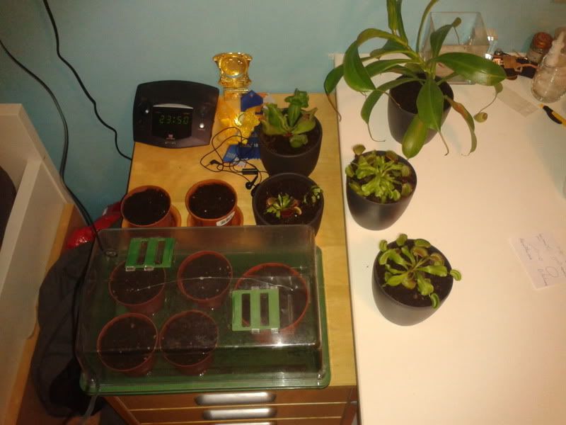2012-06-11234026.jpg