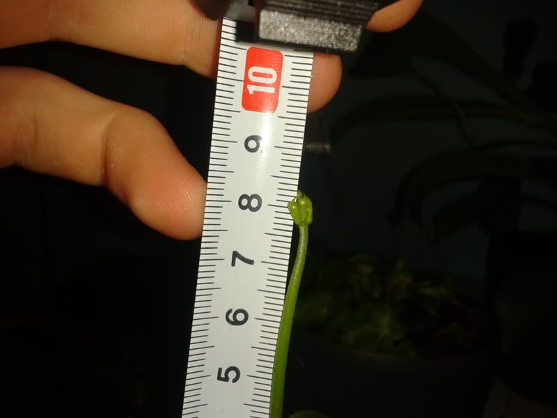 2012-06-11234123.jpg