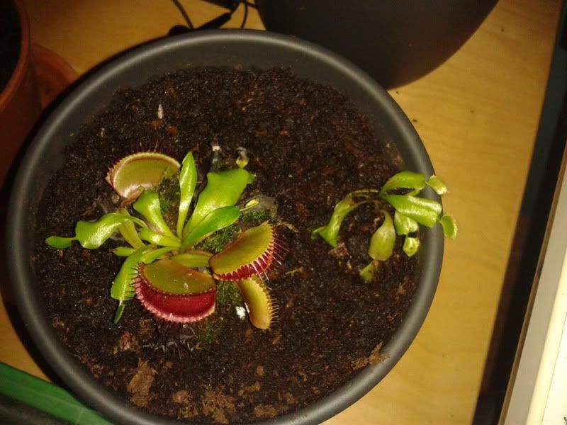 2012-06-11234142.jpg