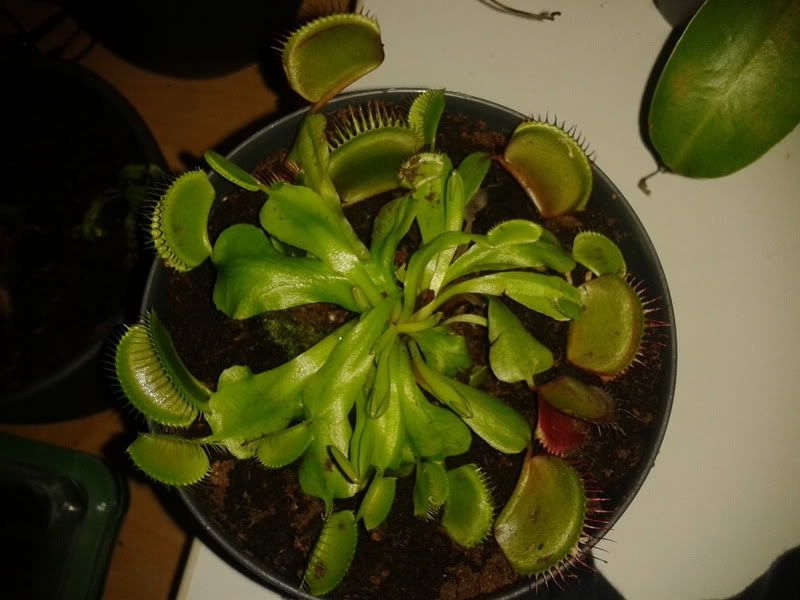 2012-06-11234439.jpg