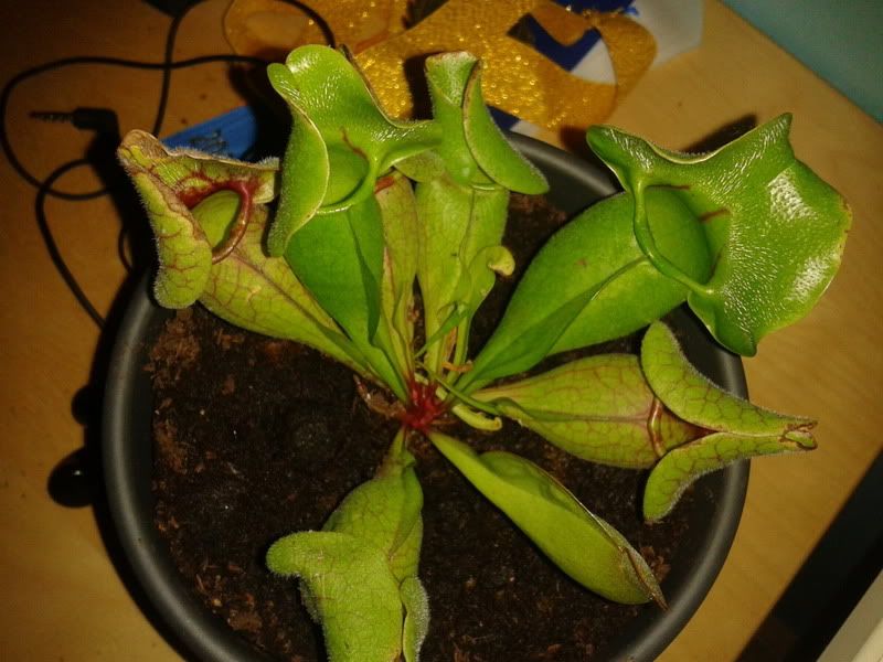2012-06-11234448.jpg