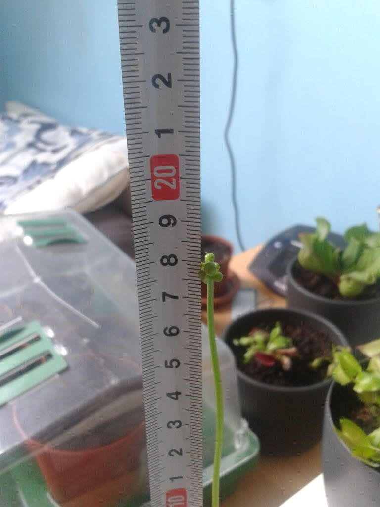 2012-06-20142234.jpg