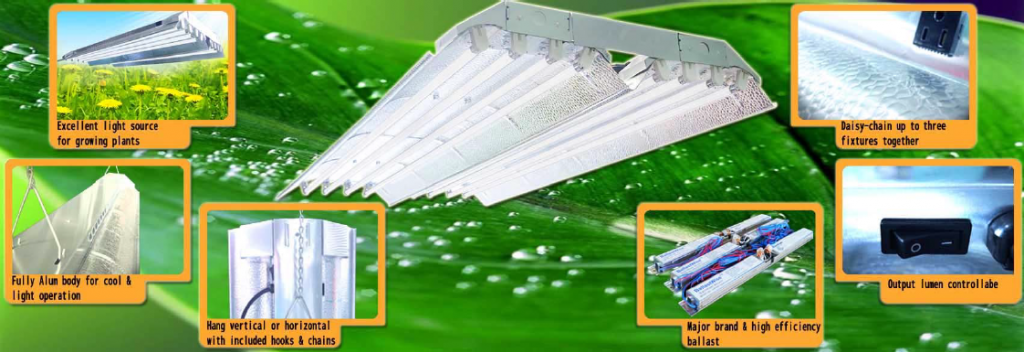 Your picture goes here