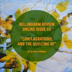 Amy Lee Scott Bellingham Review, Conflagrations and the Quelling of