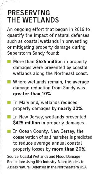 Preserving the wetlands