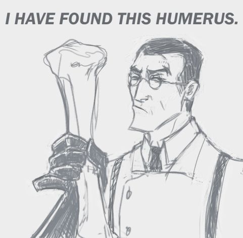 i have found this humerus