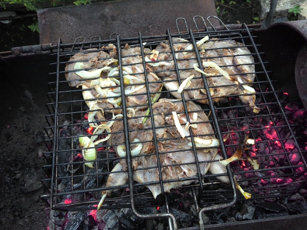 photo 2015620204735_zpsiym49azv.jpg