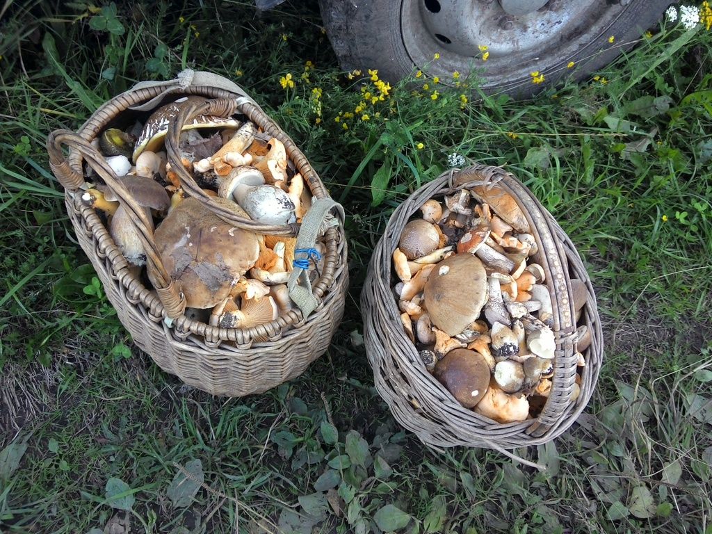 photo 2015724180836_zpslkadqymz.jpg