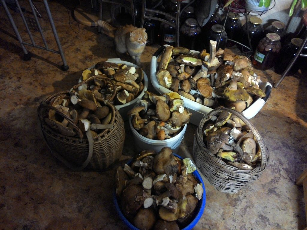 photo 2015729201242_zps4spyuvoc.jpg