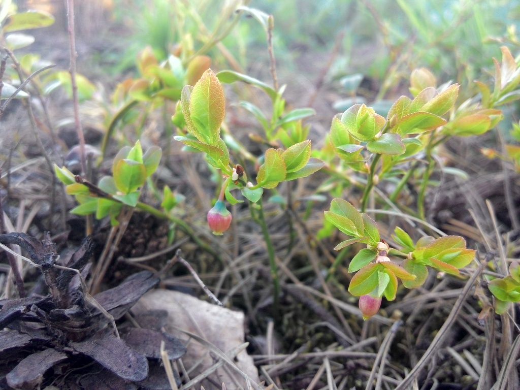 photo 2015507192003_zpsvcv1pllt.jpg