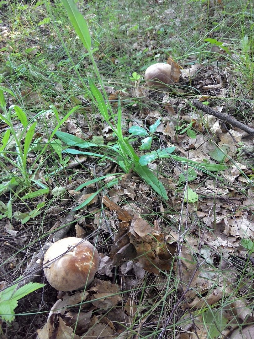photo 2015609180624_zpsbwgan7q7.jpg