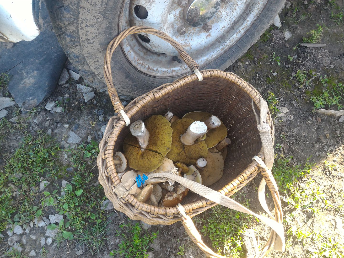 photo P_20160826_155226_zpsn0nrlq6n.jpg