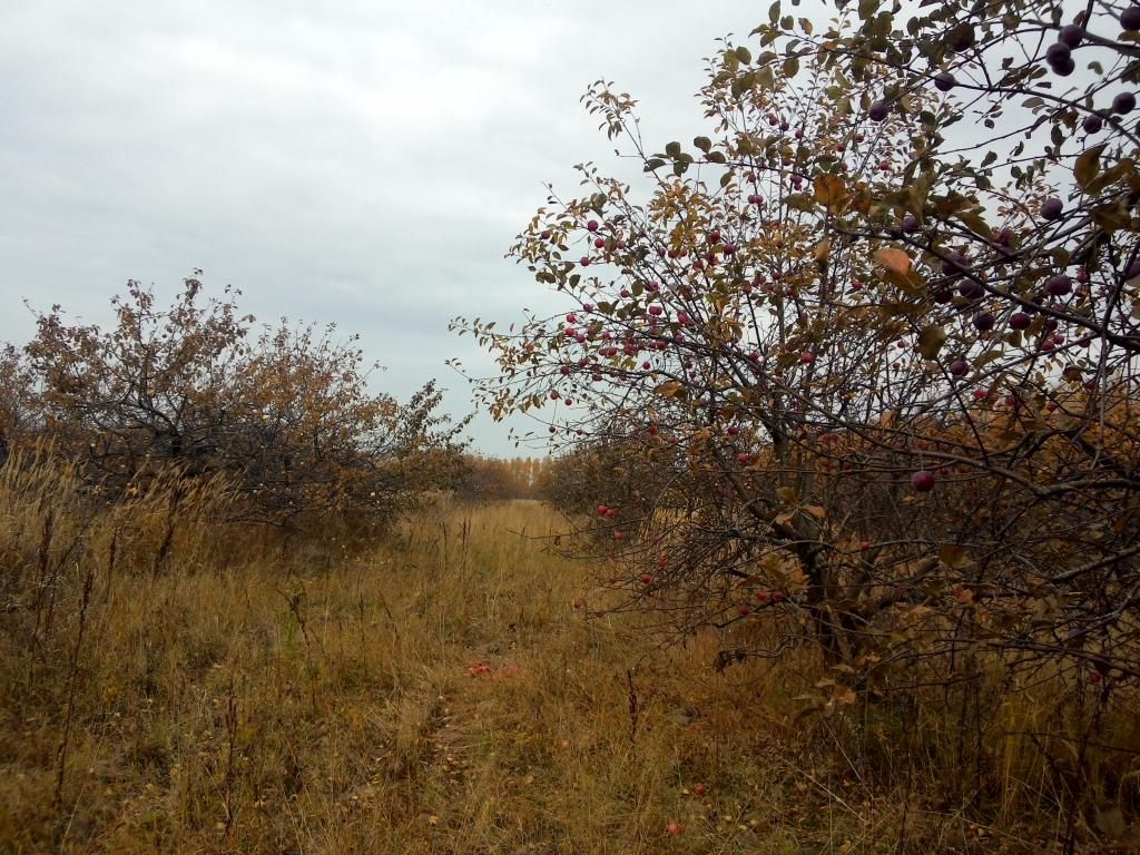 photo 20141011144244_zpsll6gzbhf.jpg