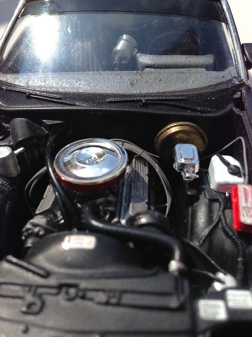  photo image_zpsf5nsepbc.jpeg