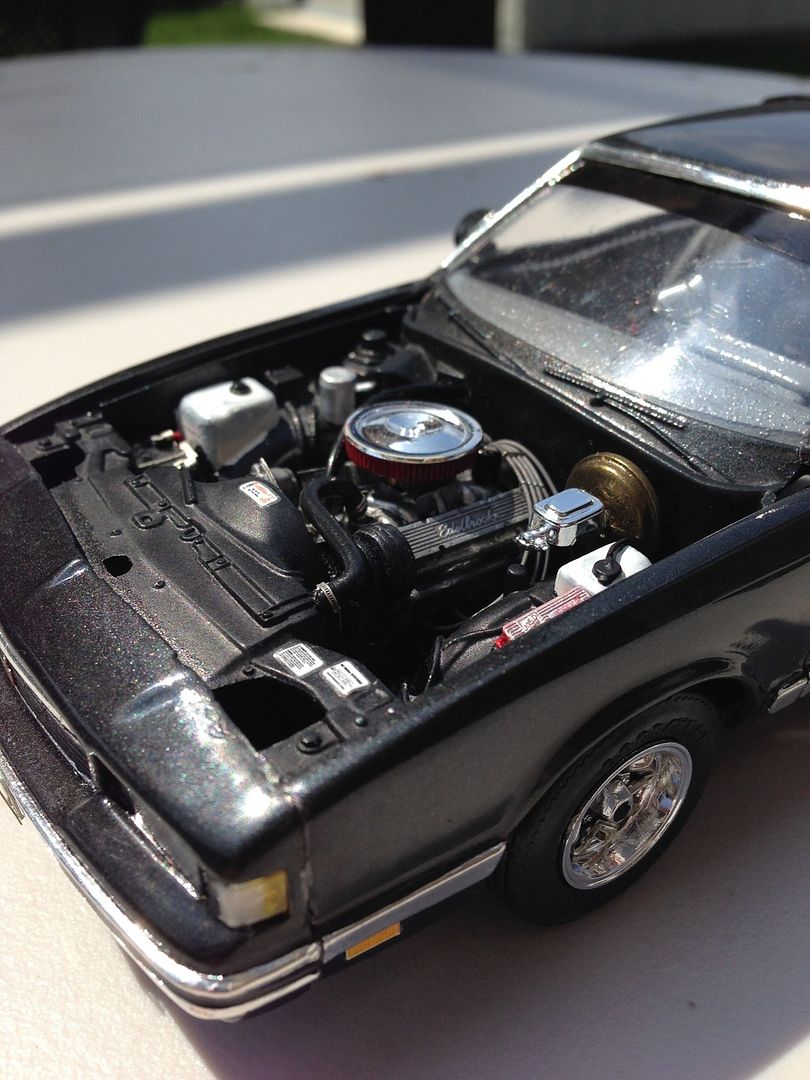  photo image_zpsym66pwx4.jpeg