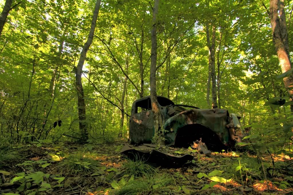 IMAGE: http://i1146.photobucket.com/albums/o533/jedgunn/Photos/IMG_1538_tone.jpg