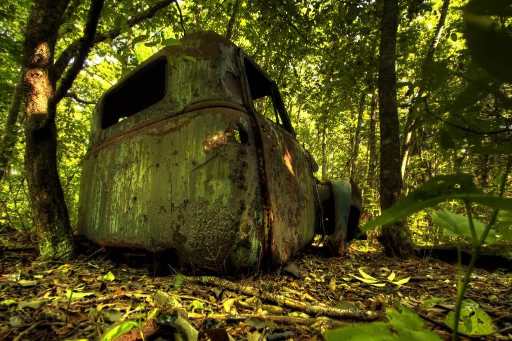 IMAGE: http://i1146.photobucket.com/albums/o533/jedgunn/Photos/IMG_1547_tone.jpg