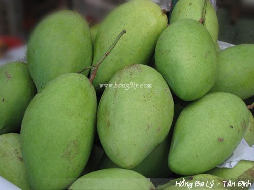 Xoài cát Hòa lộc - Hồng Ba Lý