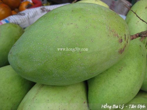 Xoài cát Hòa lộc - Hồng Ba Lý