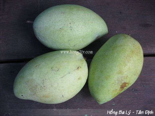 Xoài cát Hòa lộc - Hồng Ba Lý