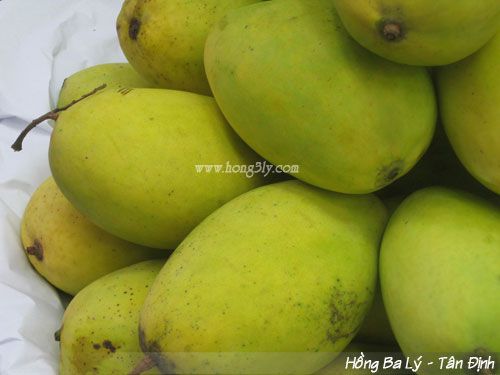 Xoài cát Hòa lộc - Hồng Ba Lý