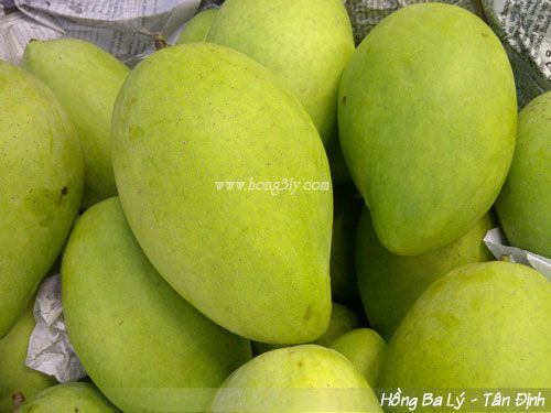 Xoài cát Hòa lộc - Hồng Ba Lý