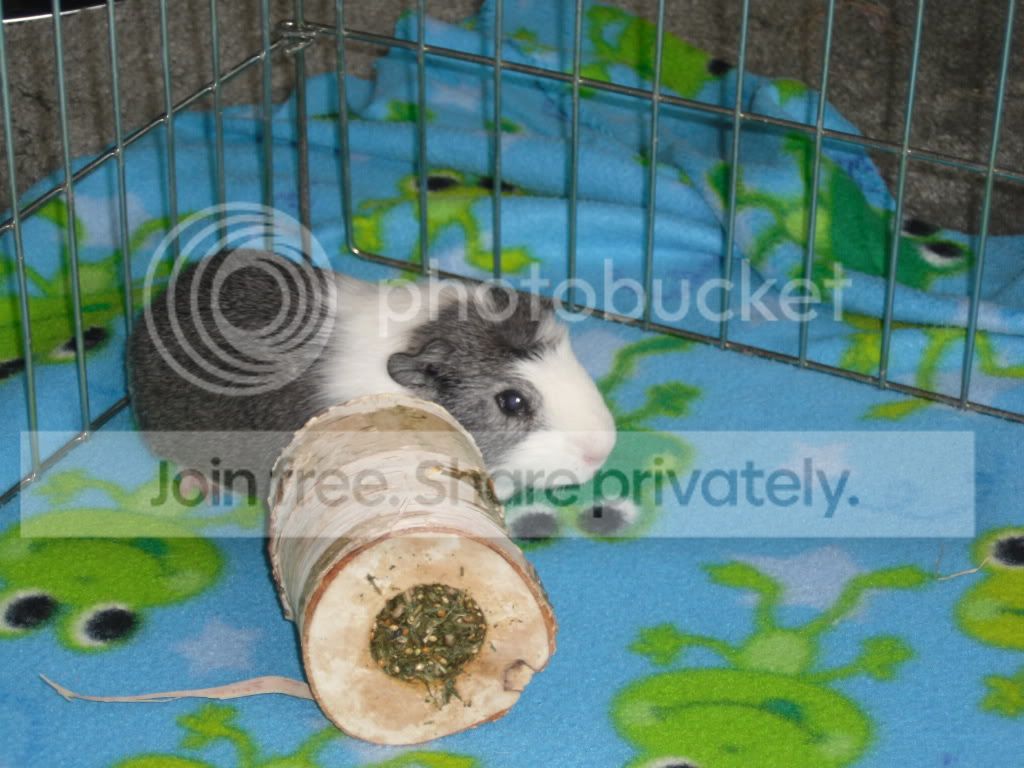 SAM_1462.jpg
