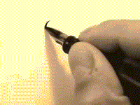 Que no has hecho tu curso de Pendolismo!