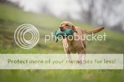 Photobucket - Video and Image Hosting