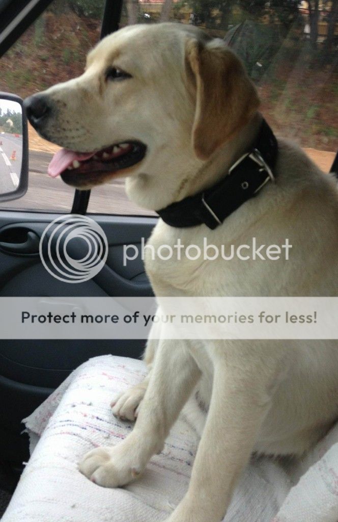 Photobucket - Video and Image Hosting