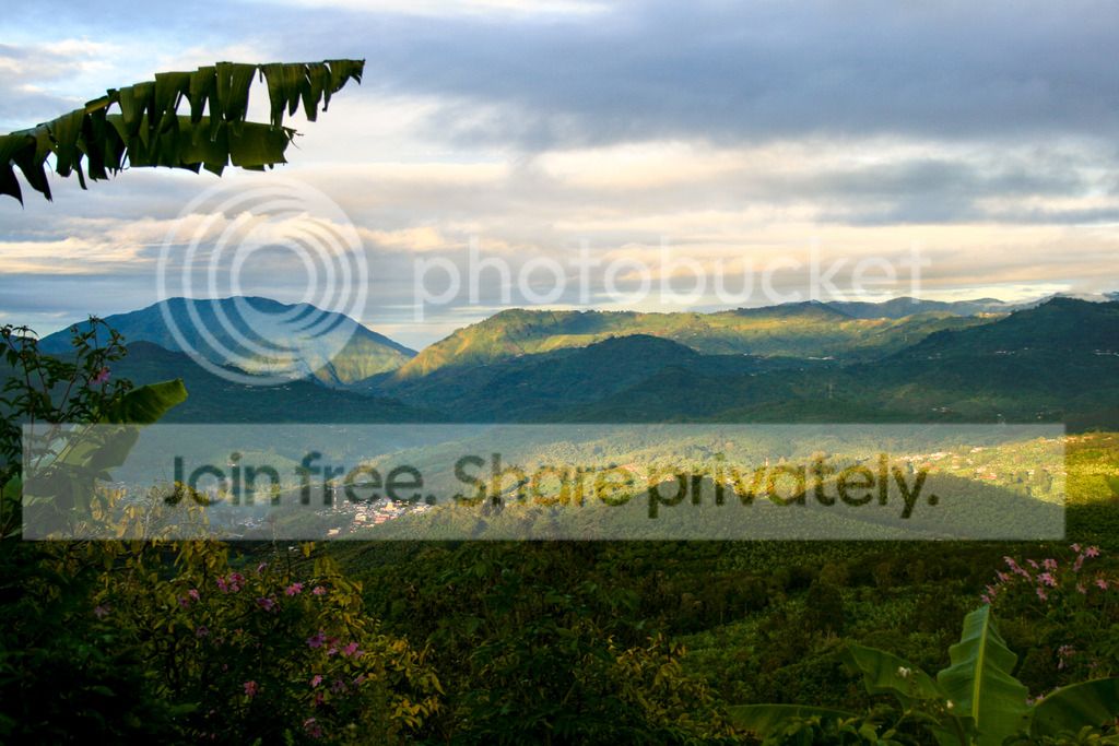  photo IMG_7998-2_zps8rvtmp7b.jpg