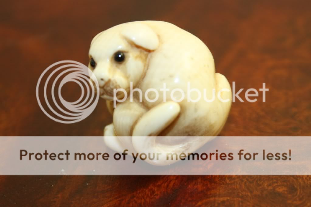 Netsuke of a dog signed by artist in fine condition. 3/4 of an inch by 